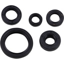 KIT DE RETENES DE MOTOR  C/RETEN DE VALANCION CG 125 C/A 150/200-(000639)-EVEREHT
