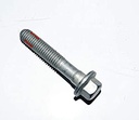 PERNO N°10 (M6X25) DE TAPA DE MOTOR