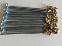 RAYO Nª17 -8GX160 KIGKOL PAQ X36UND