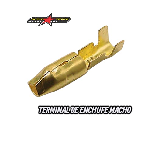 TERMINAL MACHO - LATA