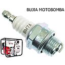 BUJIA DE MOTOSIERRA BM7A (..6521.) NGK